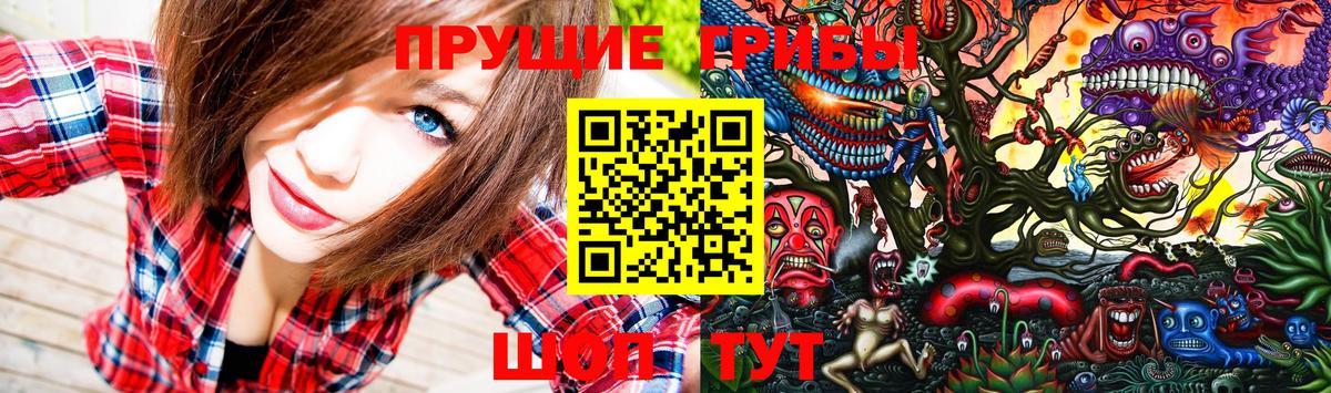 Псилоцибиновые грибы MAGIC MUSHROOMS  Вход с VPN  Курчатов 