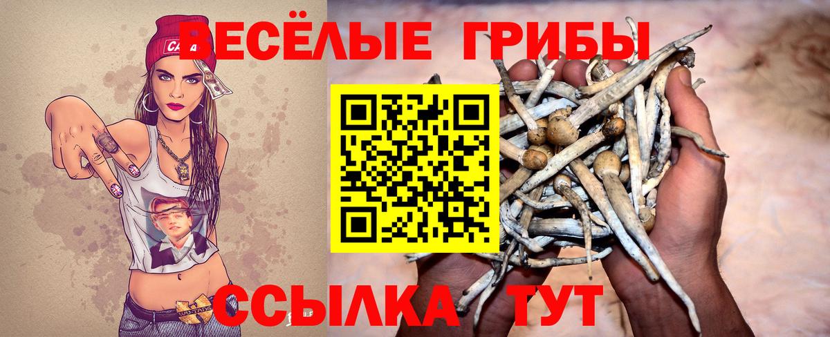 Галлюциногенные грибы прущие грибы Курчатов